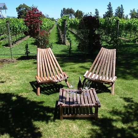 Villa In The Vines Мартінборо Екстер'єр фото