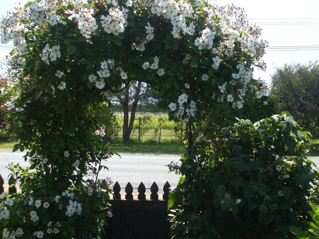Villa In The Vines Мартінборо Екстер'єр фото